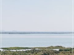 -七的湖·晚芳亭·阳澄湖农家菜·大闸蟹(莲花岛店)