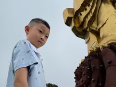 -大金鹰园