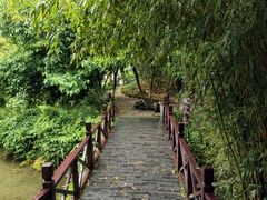 -水绘园