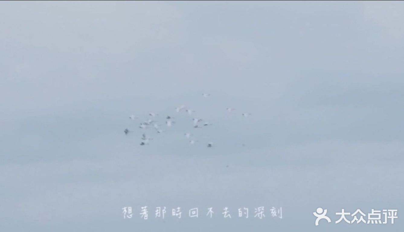 谢谢你，我会记住你所有的付出。当你选择离开的一刻