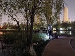 -前关湿地公园