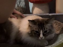 -白兔子密室(长寿路店)