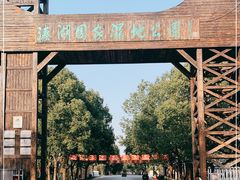 -溱湖国家湿地公园