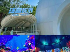 -南戴河国际娱乐中心