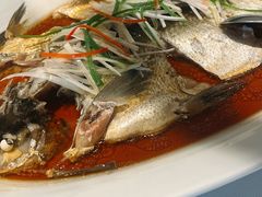 -丹江渔村(望京店)