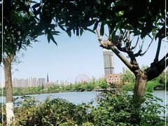 -成都南湖公园