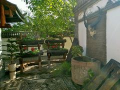 -慢丽江·云南野生菌土鸡锅(西山店)