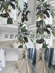 -HEYAN荷妍专业脱毛连锁机构