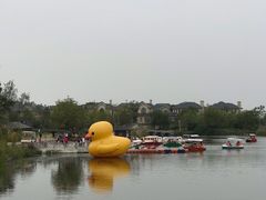 -杭州湾海上花田景区