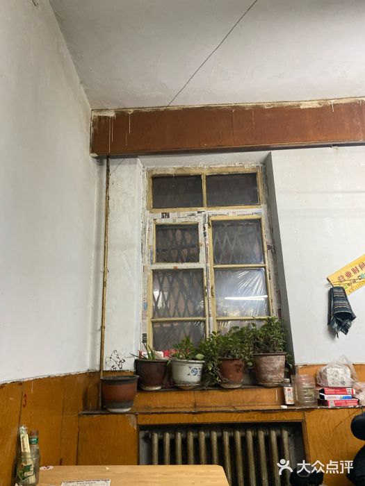 小老虎图片