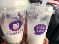 -一只酸奶牛(八一路店)