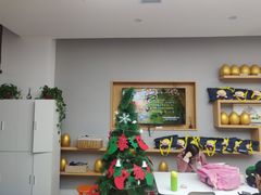 -金色雨林学习力培优(专注力提升)