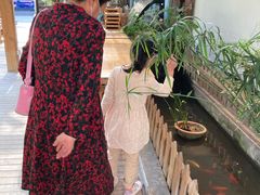 -丫口花园餐厅·融合菜
