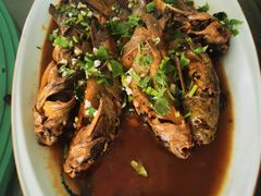 -巩本明鱼屋子