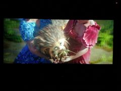 -金逸影城(荟聚IMAX激光店)