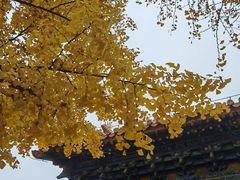 -中山公园(石岐街道)