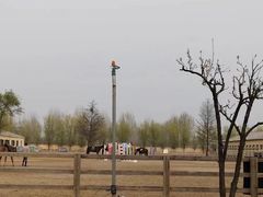 -北京群众马术培训基地
