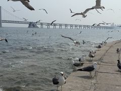 -星海广场