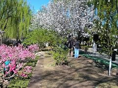 -元大都城垣遗址公园
