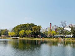 -新江湾城公园