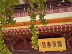 -牛首山文化旅游区