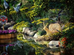 -上海共青森林公园