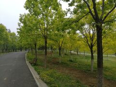 -东郊湿地公园
