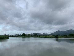 -三垟湿地