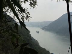 -铁山坪森林公园