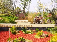 -上海长兴岛郊野公园