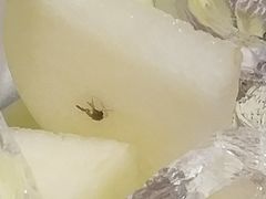 -法桐蛋糕·手作面包(万象城店)