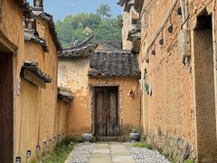 -杨家堂村