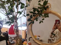 -有猫主题·治愈系猫咖(曾厝垵店)