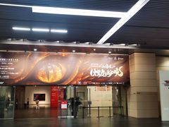 -中华艺术宫(上海美术馆)