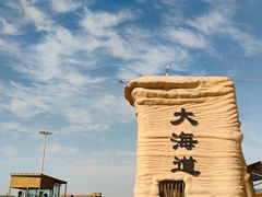 -哈密雅丹大海道景区