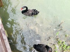 -长兴太湖图影湿地文化园