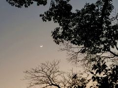 -广州市白云山风景名胜区