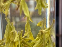 -文雅轩茶叶(锦和越界田林坊店)