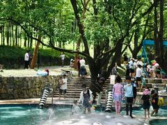 -东明山森林公园