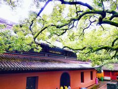 -普陀山风景名胜区-法雨禅寺