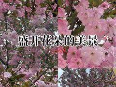 -兰岛广场(白沙路店)