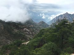 -黄山香茗国际酒店