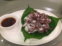 酱爆海兔-大谊园