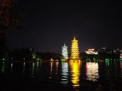 -椿记烧鹅(叠彩店)