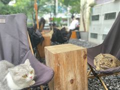 -The Roastery By AllYouWant(福田店)