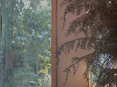 -时光花园(白鹭洲店)