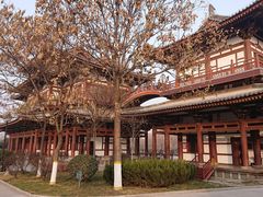 -西安青龙寺遗址景区