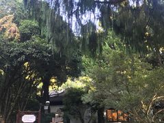 -汇龙潭