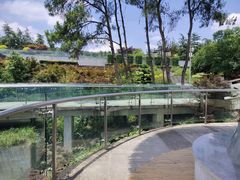 -铁山坪森林公园