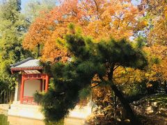 -钓鱼台国宾馆